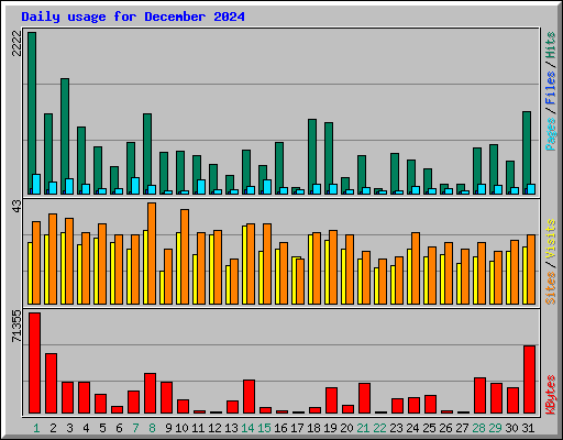 Daily usage for December 2024