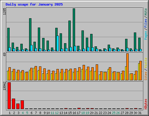 Daily usage for January 2025