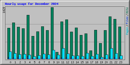 Hourly usage for December 2024