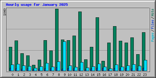 Hourly usage for January 2025